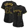 Women's No.20 Nick Sogard Boston Red Sox Black Replica Snake Skin City Jersey